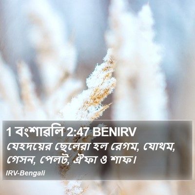 1 বংশাৱলি 2:47 BENIRV Bible Verse Image
