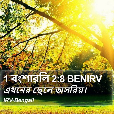 1 বংশাৱলি 2:8 BENIRV Bible Verse Image