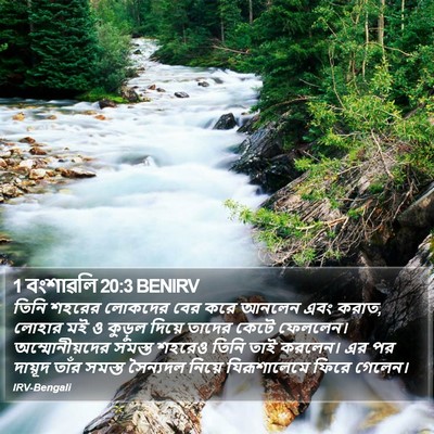 1 বংশাৱলি 20:3 BENIRV Bible Verse Image