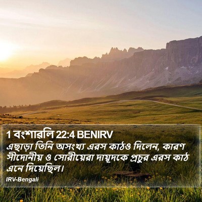 1 বংশাৱলি 22:4 BENIRV Bible Verse Image