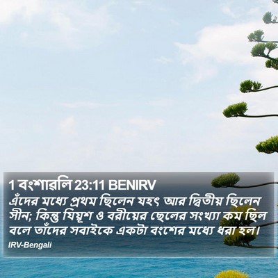 1 বংশাৱলি 23:11 BENIRV Bible Verse Image