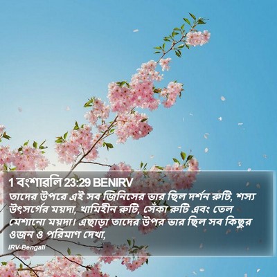 1 বংশাৱলি 23:29 BENIRV Bible Verse Image