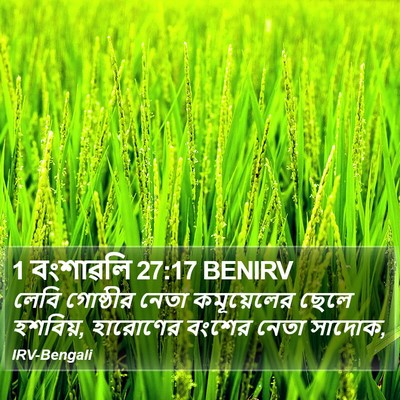 1 বংশাৱলি 27:17 BENIRV Bible Verse Image