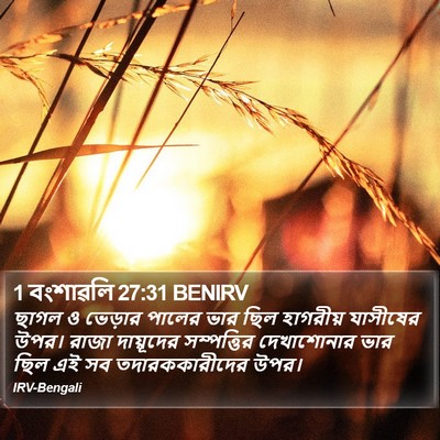 1 বংশাৱলি 27:31 BENIRV Bible Verse Image