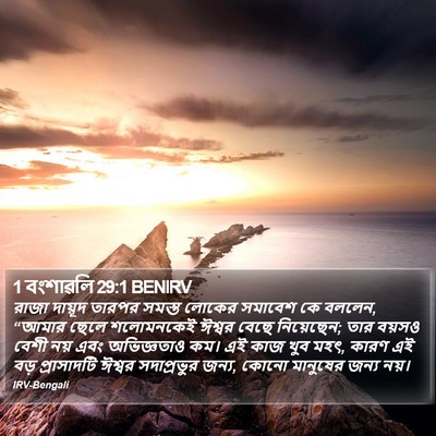 1 বংশাৱলি 29:1 BENIRV Bible Verse Image
