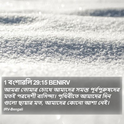 1 বংশাৱলি 29:15 BENIRV Bible Verse Image