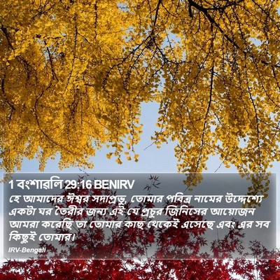 1 বংশাৱলি 29:16 BENIRV Bible Verse Image