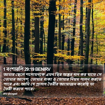 1 বংশাৱলি 29:19 BENIRV Bible Verse Image