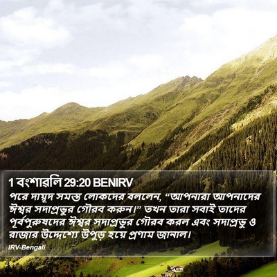 1 বংশাৱলি 29:20 BENIRV Bible Verse Image