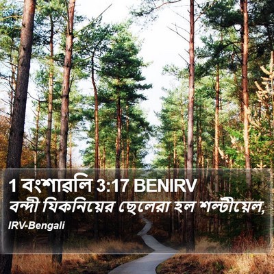 1 বংশাৱলি 3:17 BENIRV Bible Verse Image