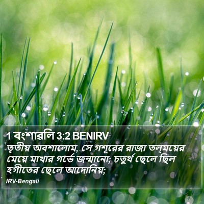 1 বংশাৱলি 3:2 BENIRV Bible Verse Image