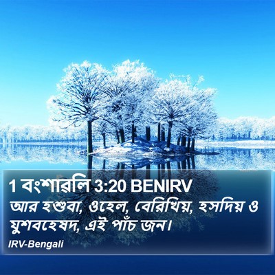 1 বংশাৱলি 3:20 BENIRV Bible Verse Image