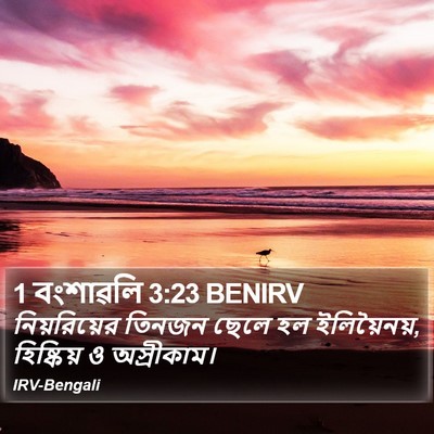 1 বংশাৱলি 3:23 BENIRV Bible Verse Image