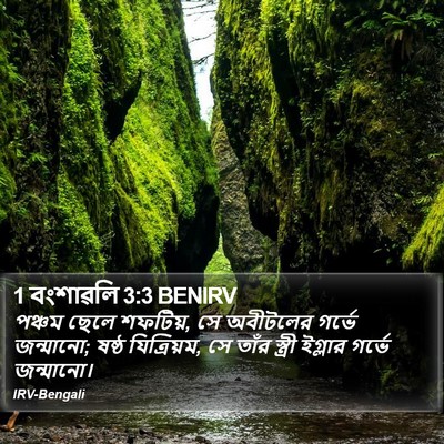 1 বংশাৱলি 3:3 BENIRV Bible Verse Image