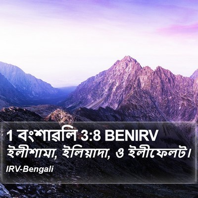1 বংশাৱলি 3:8 BENIRV Bible Verse Image