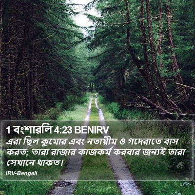 1 বংশাৱলি 4:23 BENIRV Bible Verse Image