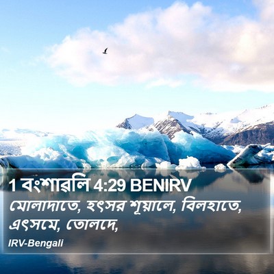 1 বংশাৱলি 4:29 BENIRV Bible Verse Image