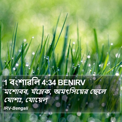 1 বংশাৱলি 4:34 BENIRV Bible Verse Image