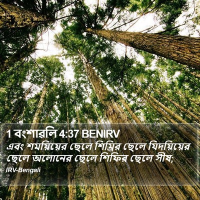 1 বংশাৱলি 4:37 BENIRV Bible Verse Image