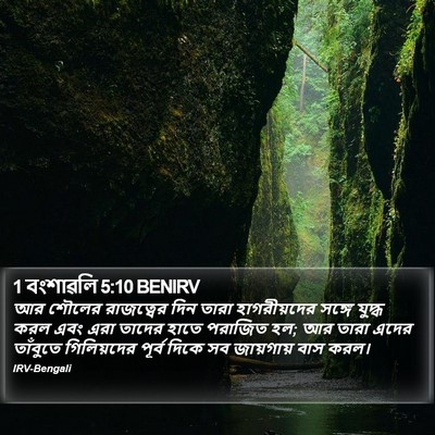 1 বংশাৱলি 5:10 BENIRV Bible Verse Image
