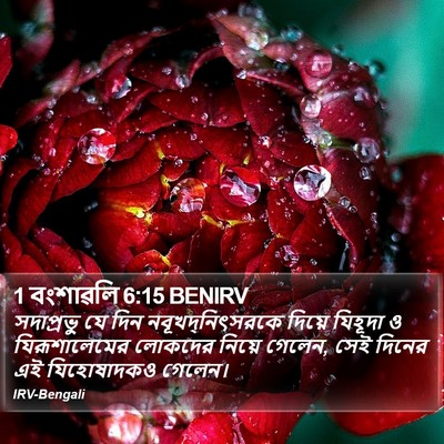 1 বংশাৱলি 6:15 BENIRV Bible Verse Image