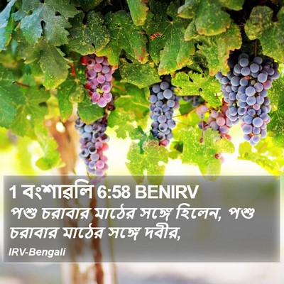 1 বংশাৱলি 6:58 BENIRV Bible Verse Image