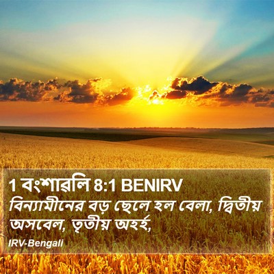 1 বংশাৱলি 8:1 BENIRV Bible Verse Image