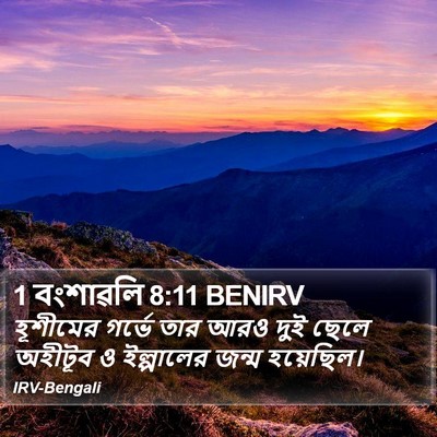 1 বংশাৱলি 8:11 BENIRV Bible Verse Image