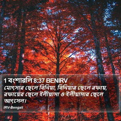 1 বংশাৱলি 8:37 BENIRV Bible Verse Image