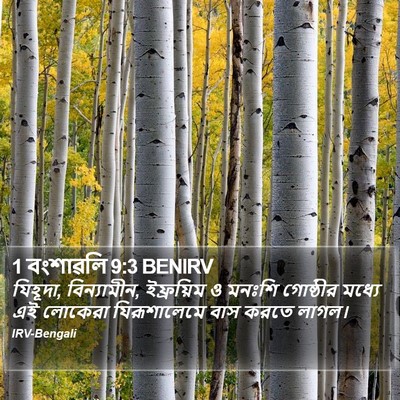 1 বংশাৱলি 9:3 BENIRV Bible Verse Image