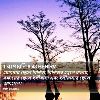 1 বংশাৱলি 9:43 BENIRV Bible Verse Image