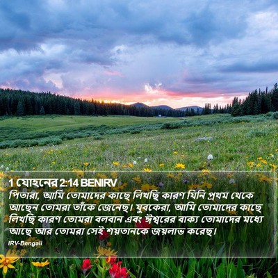 1 যোহনের 2:14 BENIRV Bible Verse Image