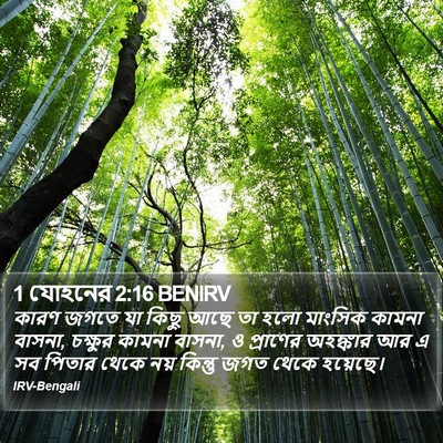 1 যোহনের 2:16 BENIRV Bible Verse Image