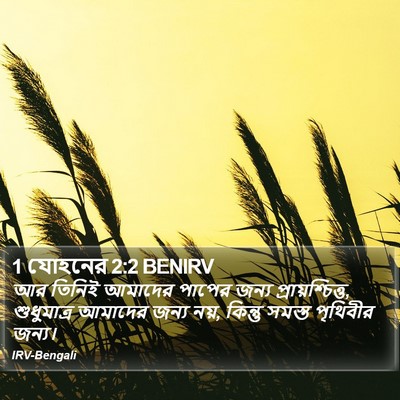 1 যোহনের 2:2 BENIRV Bible Verse Image