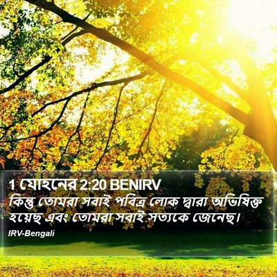 1 যোহনের 2:20 BENIRV Bible Verse Image