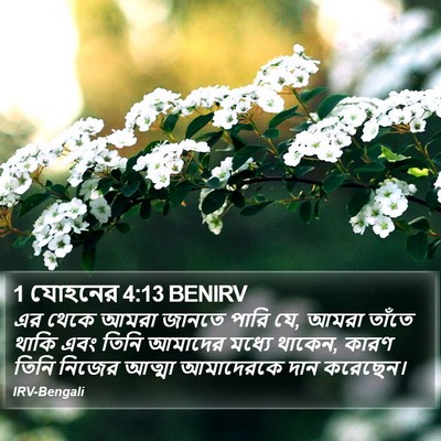 1 যোহনের 4:13 BENIRV Bible Verse Image