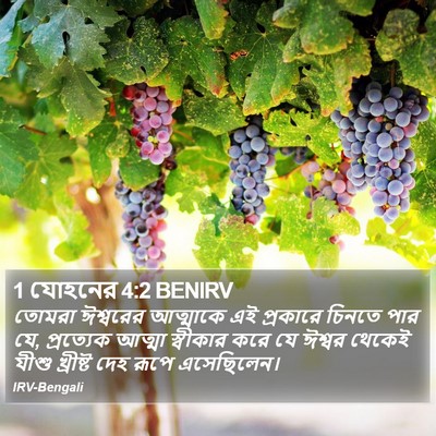 1 যোহনের 4:2 BENIRV Bible Verse Image