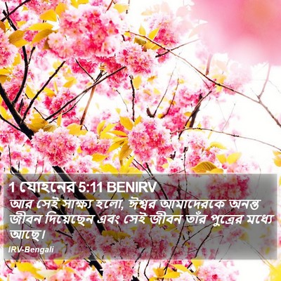 1 যোহনের 5:11 BENIRV Bible Verse Image