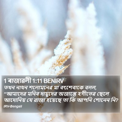 1 ৰাজাৱলী 1:11 BENIRV Bible Verse Image