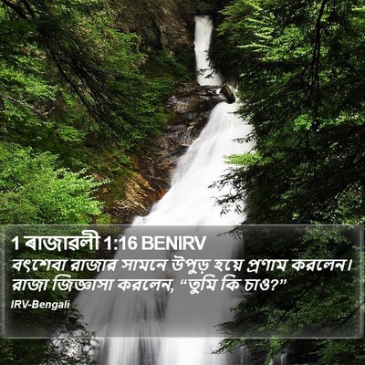 1 ৰাজাৱলী 1:16 BENIRV Bible Verse Image