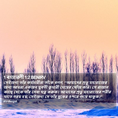 1 ৰাজাৱলী 1:2 BENIRV Bible Verse Image