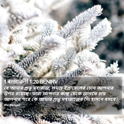 1 ৰাজাৱলী 1:20 BENIRV Bible Verse Image