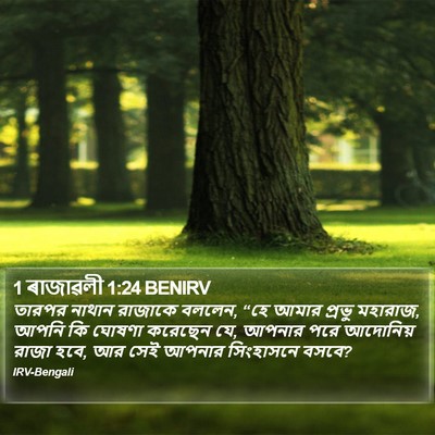1 ৰাজাৱলী 1:24 BENIRV Bible Verse Image