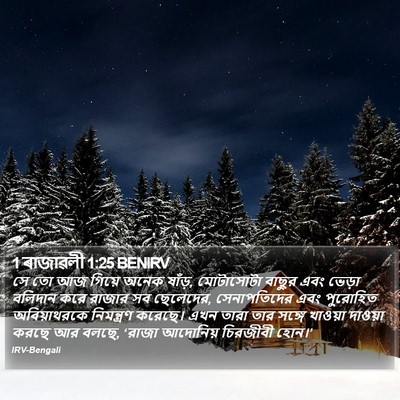1 ৰাজাৱলী 1:25 BENIRV Bible Verse Image