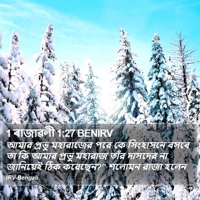 1 ৰাজাৱলী 1:27 BENIRV Bible Verse Image