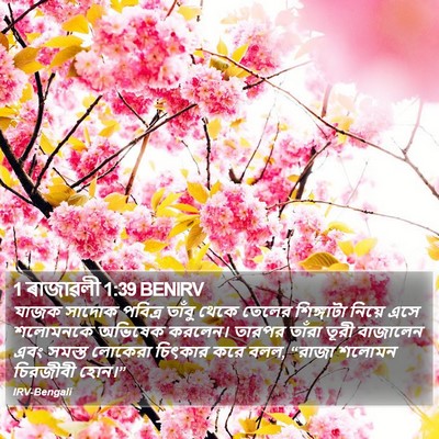 1 ৰাজাৱলী 1:39 BENIRV Bible Verse Image