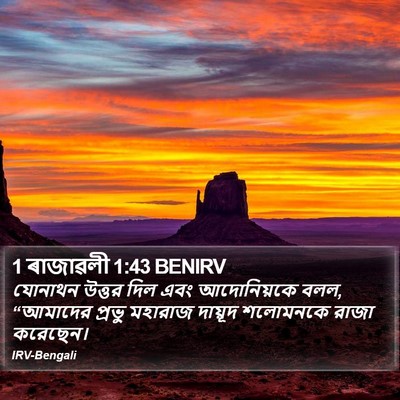 1 ৰাজাৱলী 1:43 BENIRV Bible Verse Image