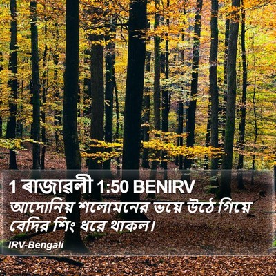 1 ৰাজাৱলী 1:50 BENIRV Bible Verse Image