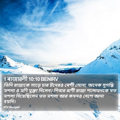 1 ৰাজাৱলী 10:10 BENIRV Bible Verse Image