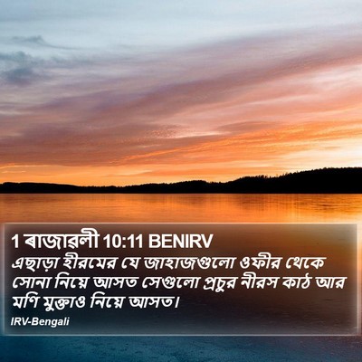 1 ৰাজাৱলী 10:11 BENIRV Bible Verse Image